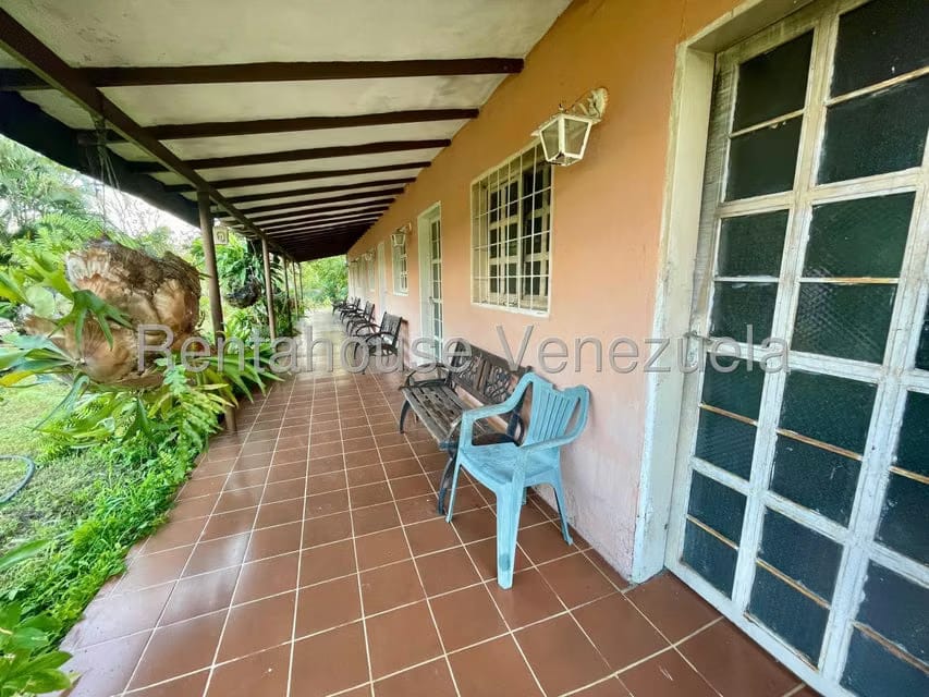 Casa (1 Nivel) en Venta en San Felipe, Yaracuy - 34