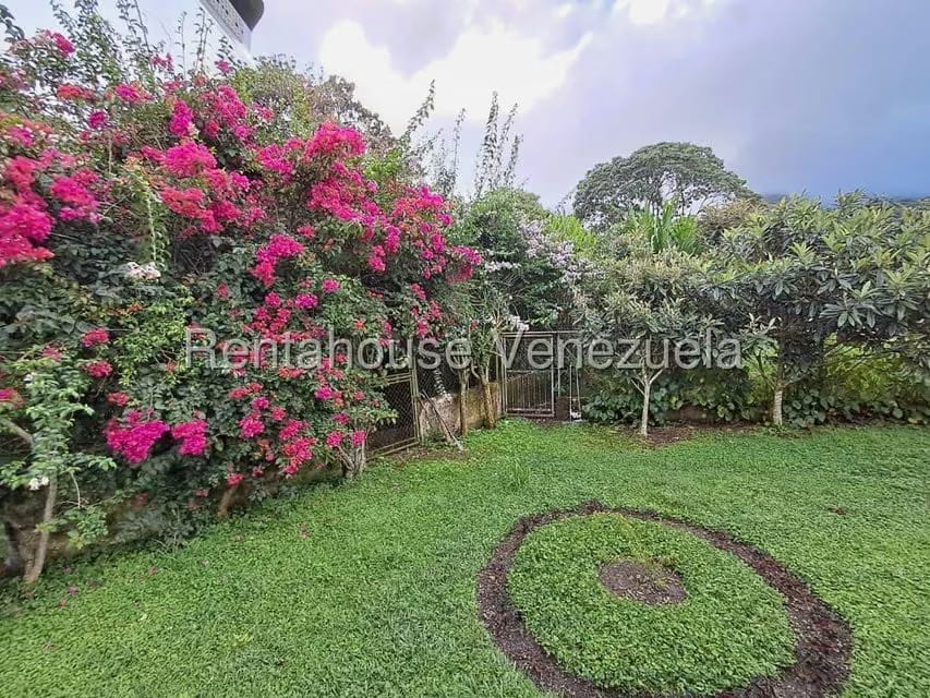 Casa (1 Nivel) en Venta en San Agustin, Monagas - 3