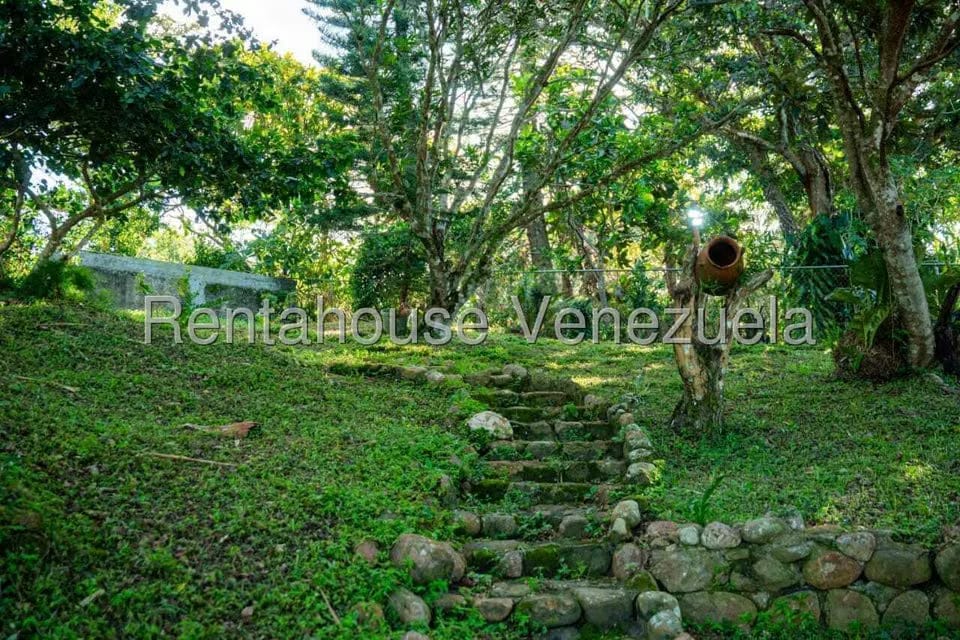 Casa (1 Nivel) en Venta en Sector La Chapa, Falcon - 31