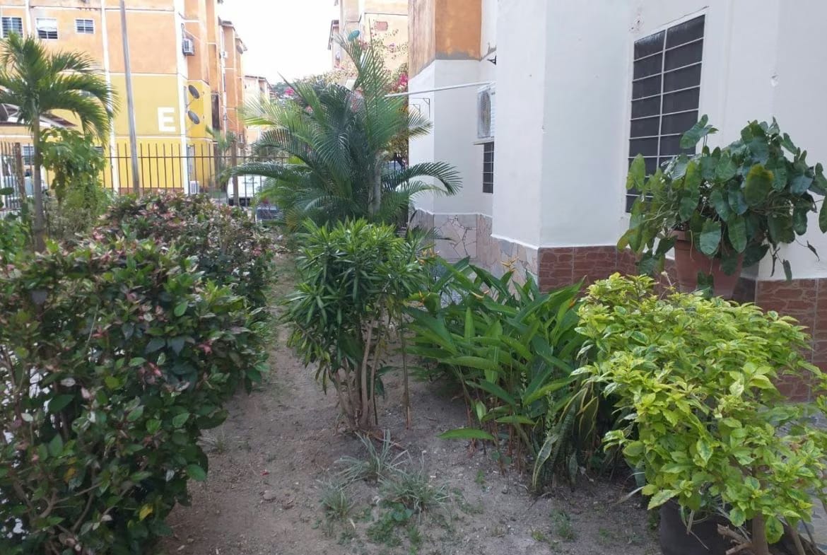 Lindo y cómodo apartamento en Terrazas d Paramacay - 10