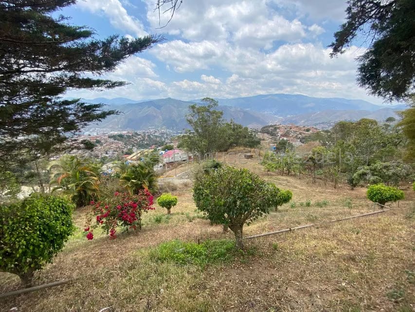 Comercial (Posada) en Venta en El Junquito, Distrito Metropolitano - 62