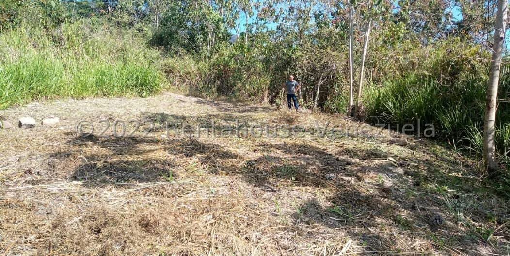 Terreno (Residencial) en Venta en Juan Diaz, Trujillo - 4
