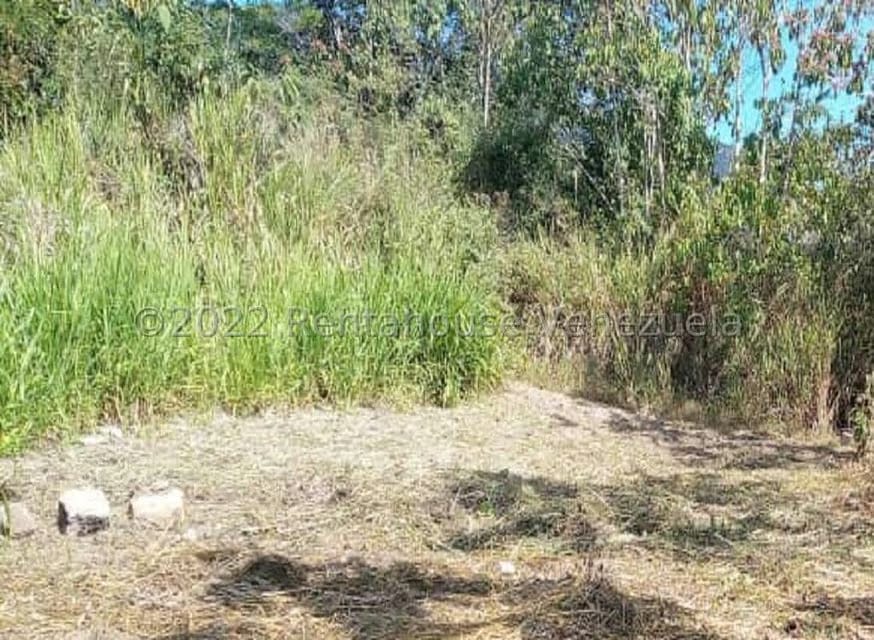 Terreno (Residencial) en Venta en Juan Diaz, Trujillo - 5