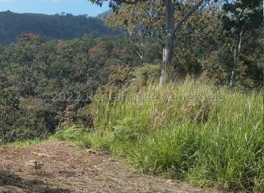 Terreno (Residencial) en Venta en Juan Diaz, Trujillo - 6