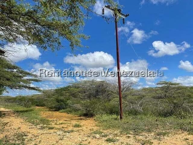 Terreno (Comercial) en Venta en Pueblo Nuevo, Falcon - 11