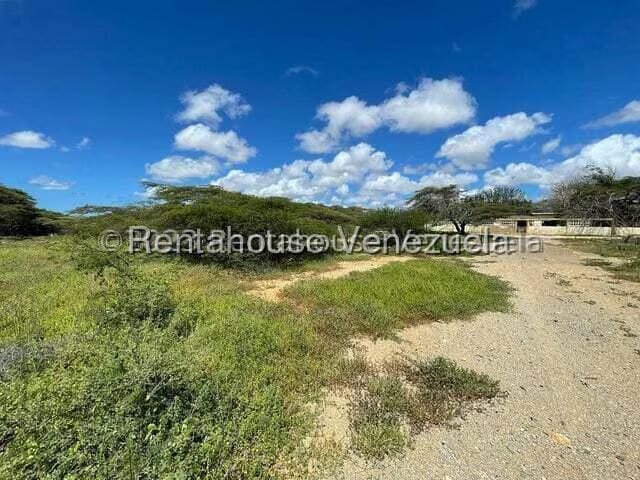 Terreno (Comercial) en Venta en Pueblo Nuevo, Falcon - 4