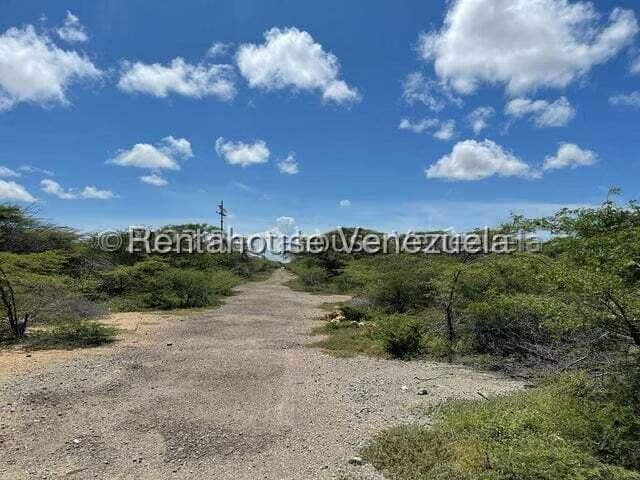 Terreno (Comercial) en Venta en Pueblo Nuevo, Falcon - 5