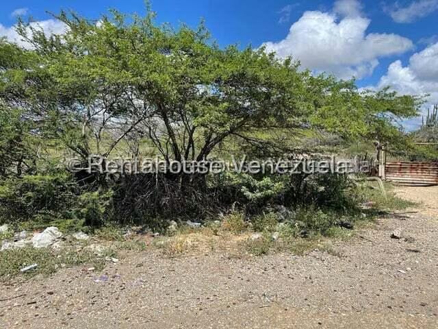 Terreno (Comercial) en Venta en Pueblo Nuevo, Falcon - 6