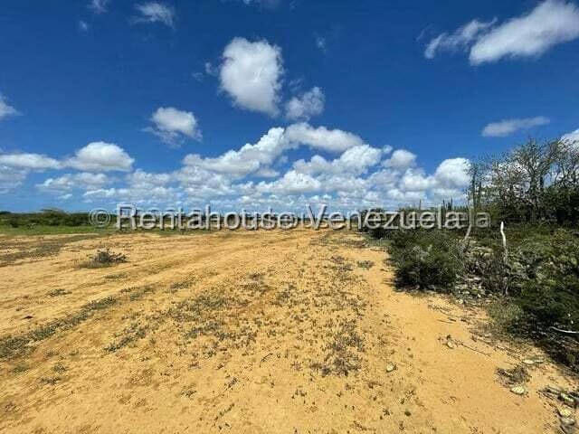 Terreno (Comercial) en Venta en Pueblo Nuevo, Falcon - 7