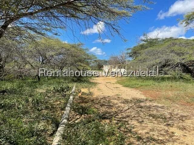Terreno (Comercial) en Venta en Pueblo Nuevo, Falcon - 10