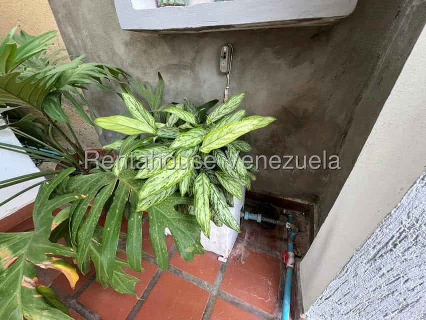 Casa (1 Nivel) en Alquiler en Nueva Segovia, Lara - 33