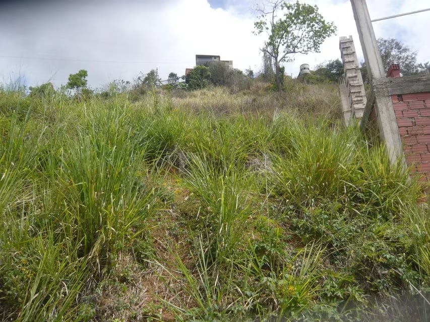 Terreno (Comercial) en Venta en Caicaguana, Distrito Metropolitano - 19
