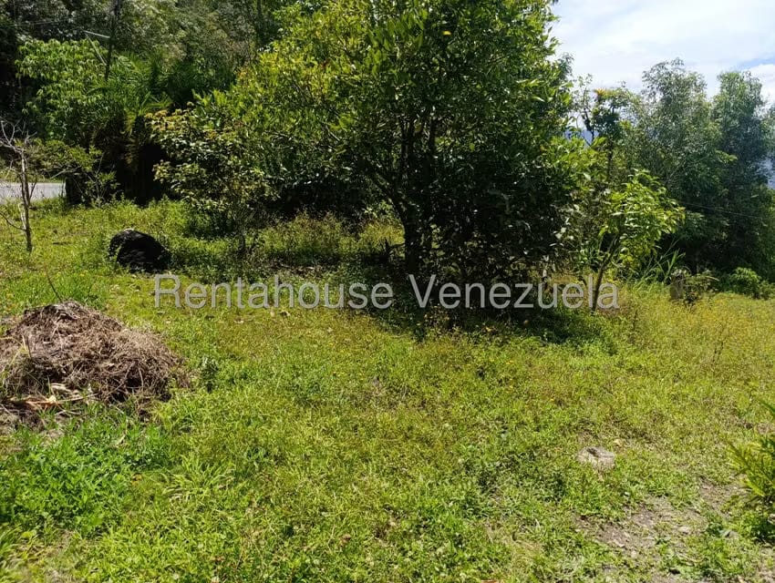 Casa (Finca) en Venta en Via Jaji, Merida - 44