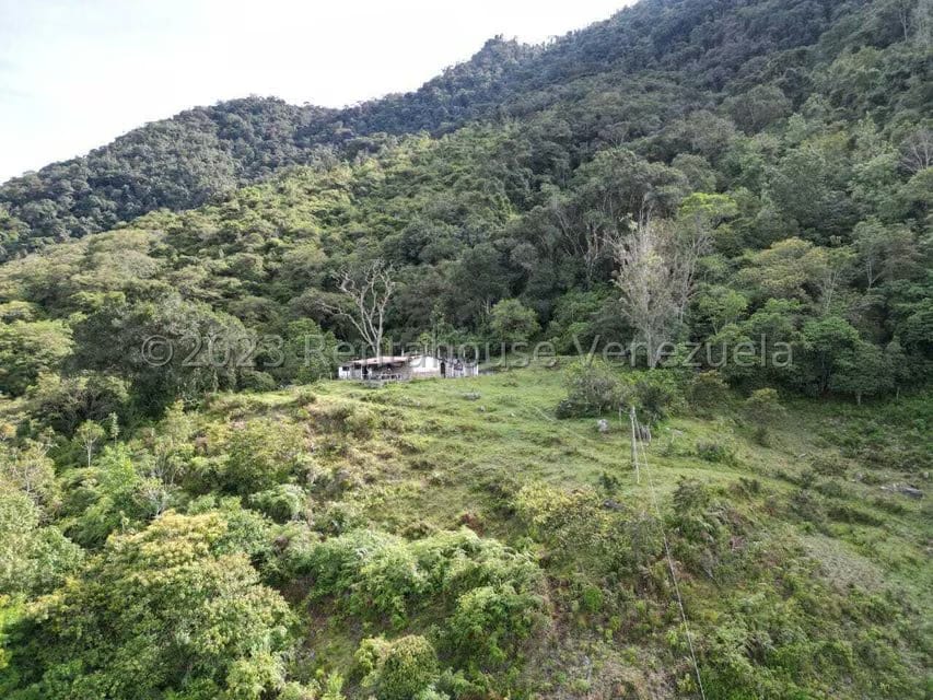 Terreno (Finca) en Venta en El Valle, Merida - 11