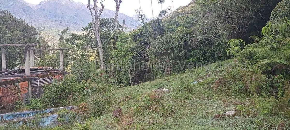 Terreno (Finca) en Venta en El Valle, Merida - 18