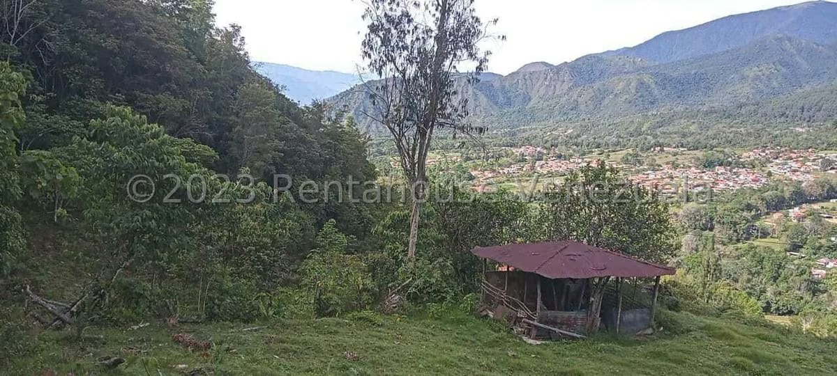 Terreno (Finca) en Venta en El Valle, Merida - 22