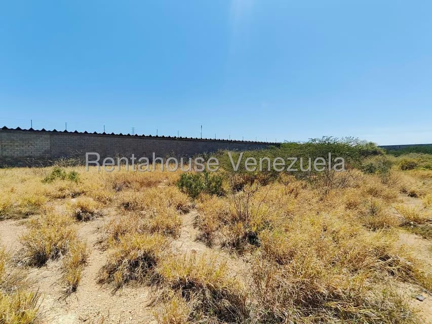 Terreno (Comercial) en Venta en Caja de Agua, Falcon - 13