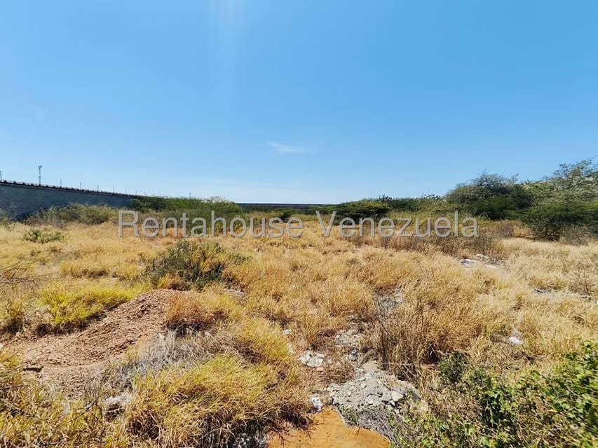 Terreno (Comercial) en Venta en Caja de Agua, Falcon - 14