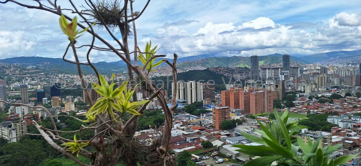 Apartamento (1 Nivel) en Venta en Los Caobos, Distrito Metropolitano - 21