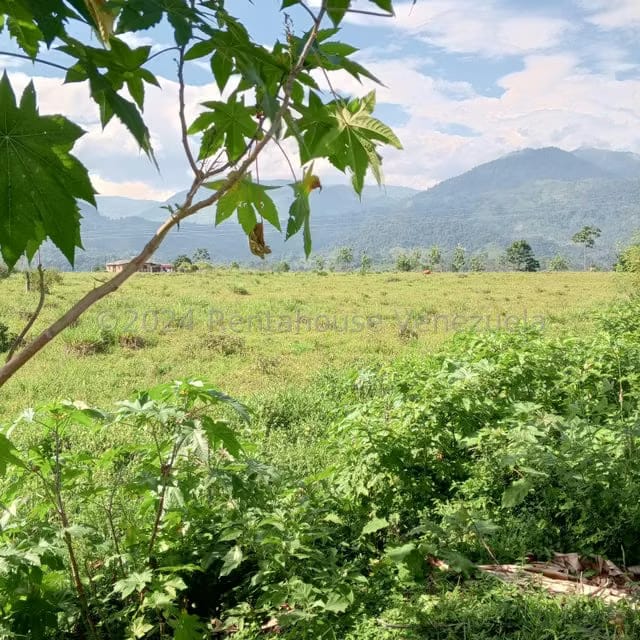 Terreno (Residencial) en Venta en El Portal, Tachira