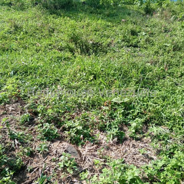 Terreno (Residencial) en Venta en El Portal, Tachira - 2