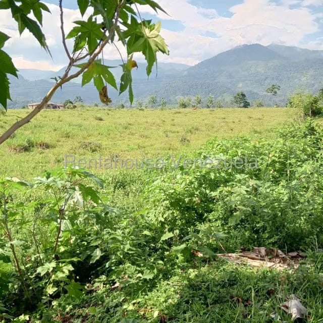 Terreno (Residencial) en Venta en El Portal, Tachira - 3