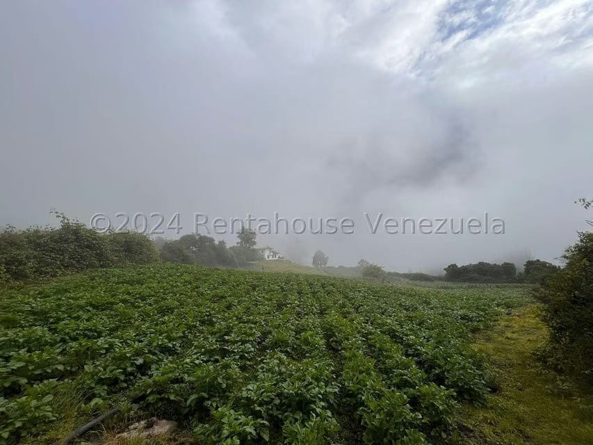 Casa (Casas de Campo) en Venta en La Culata, Merida - 63
