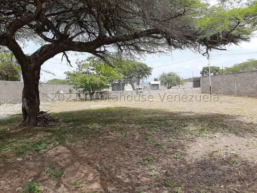 Comercial (Galpon - Deposito) en Venta en Parroquia Tamaca, Lara - 12
