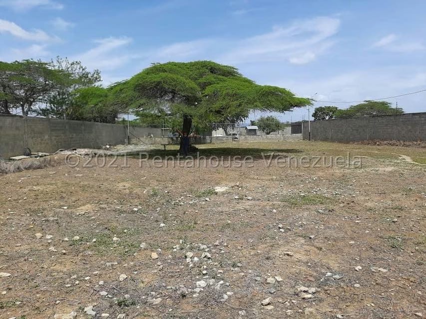 Comercial (Galpon - Deposito) en Venta en Parroquia Tamaca, Lara - 7