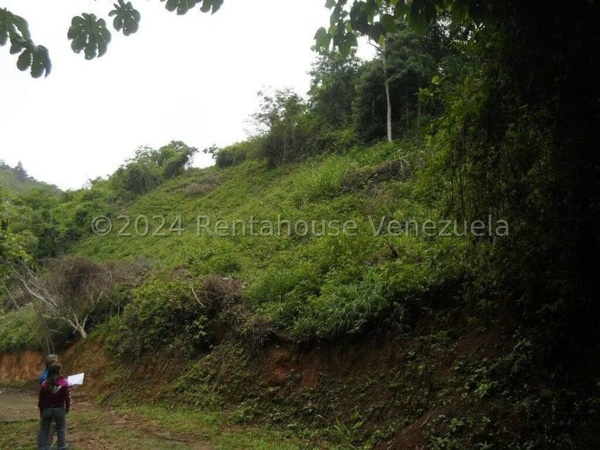 Terreno (Comercial) en Venta en La Union, Distrito Metropolitano - 4