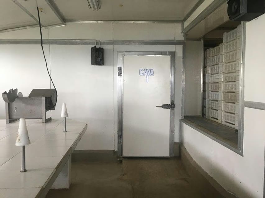 Comercial (Industrial) en Venta en Parcelamiento Cortada del guayabo, Miranda - 17