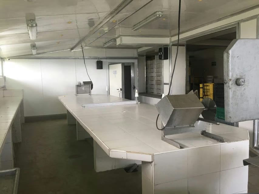 Comercial (Industrial) en Venta en Parcelamiento Cortada del guayabo, Miranda - 7