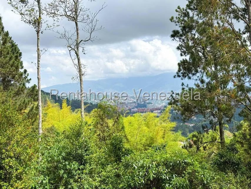 Casa (1 Nivel) en Venta en Oripoto, Distrito Metropolitano - 44