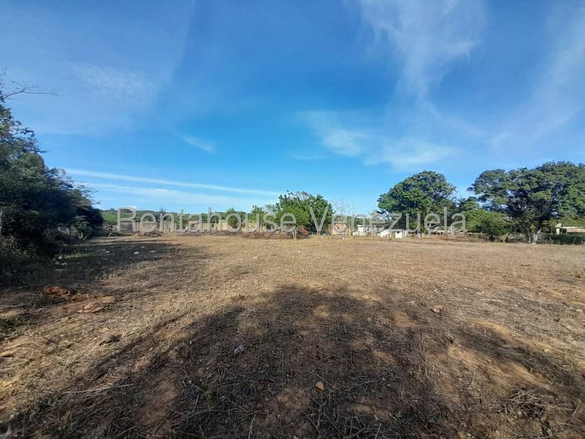 Terreno (Comercial) en Venta en Centro, Falcon - 11