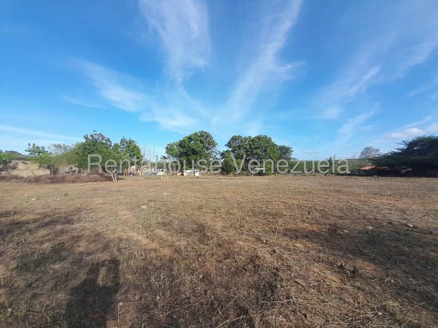 Terreno (Comercial) en Venta en Centro, Falcon - 14