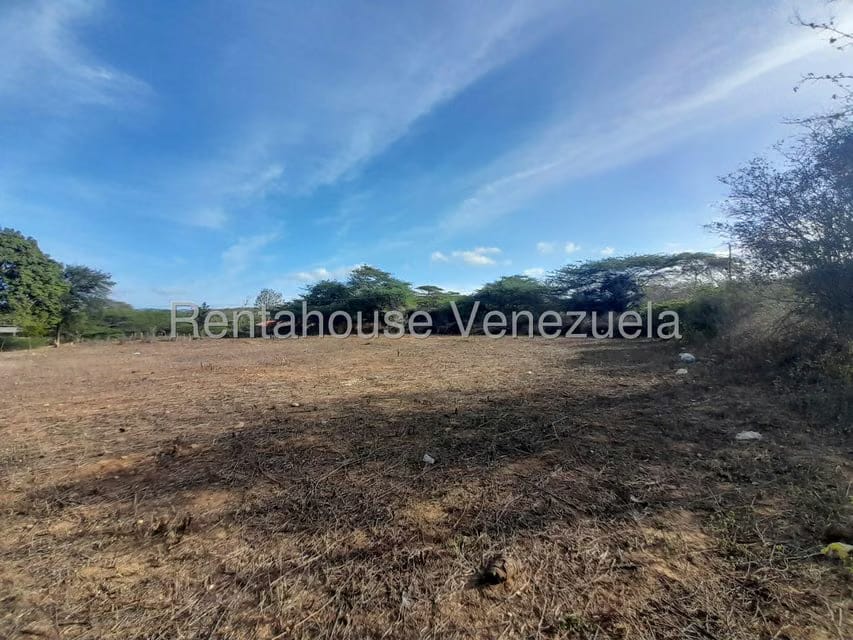 Terreno (Comercial) en Venta en Centro, Falcon - 15