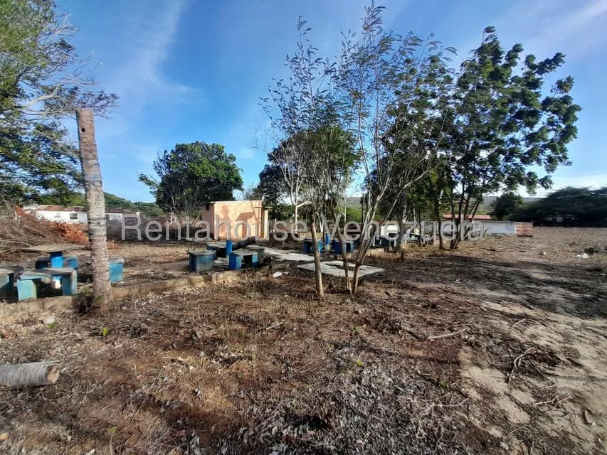 Terreno (Comercial) en Venta en Centro, Falcon - 16