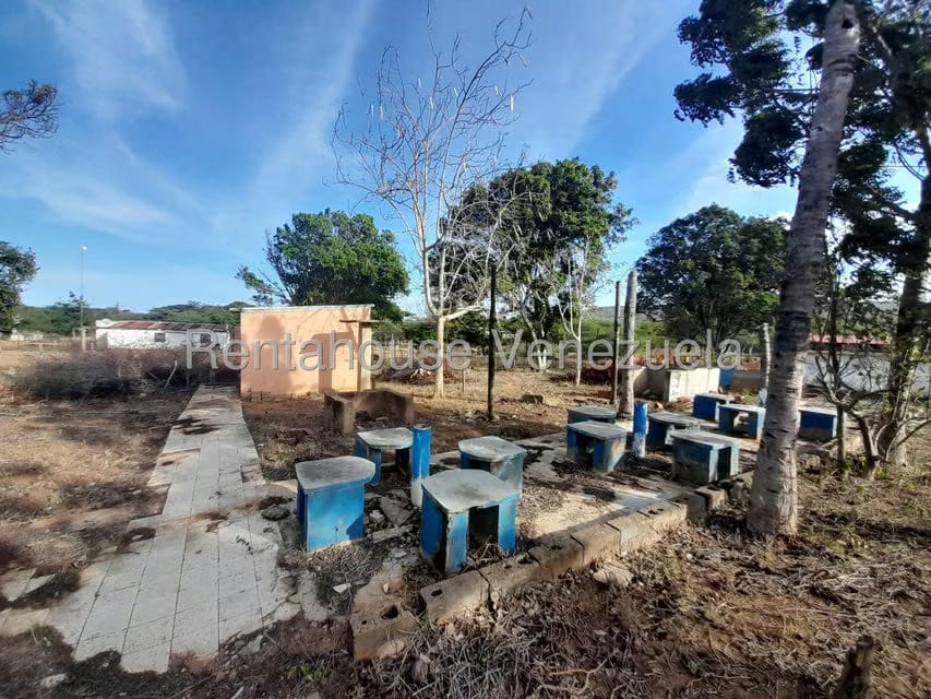 Terreno (Comercial) en Venta en Centro, Falcon - 17