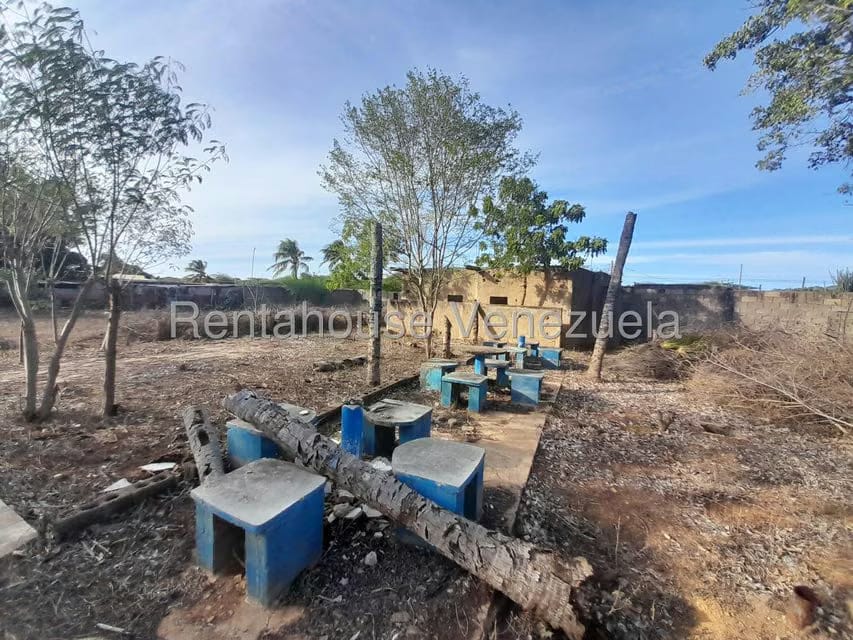 Terreno (Comercial) en Venta en Centro, Falcon - 19