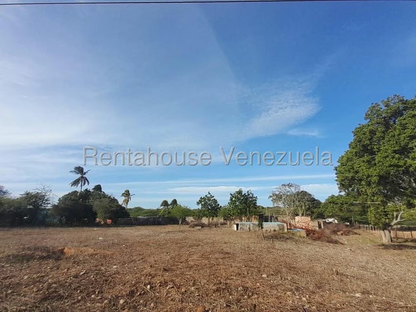 Terreno (Comercial) en Venta en Centro, Falcon - 3