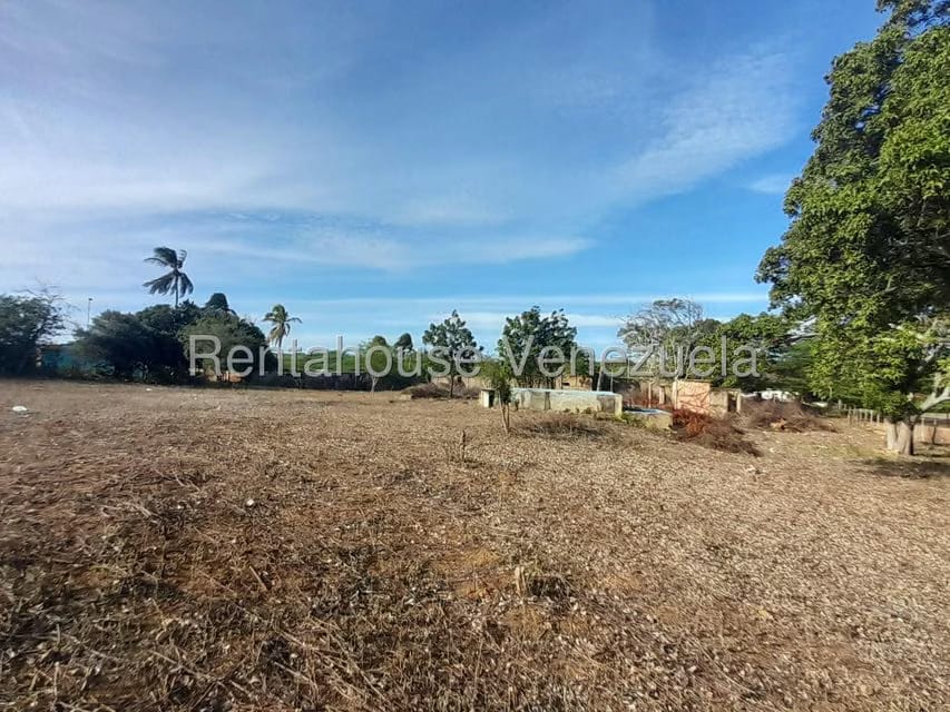 Terreno (Comercial) en Venta en Centro, Falcon - 5