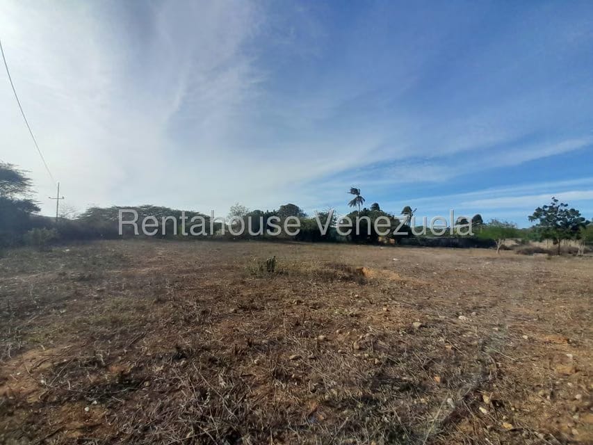 Terreno (Comercial) en Venta en Centro, Falcon - 7