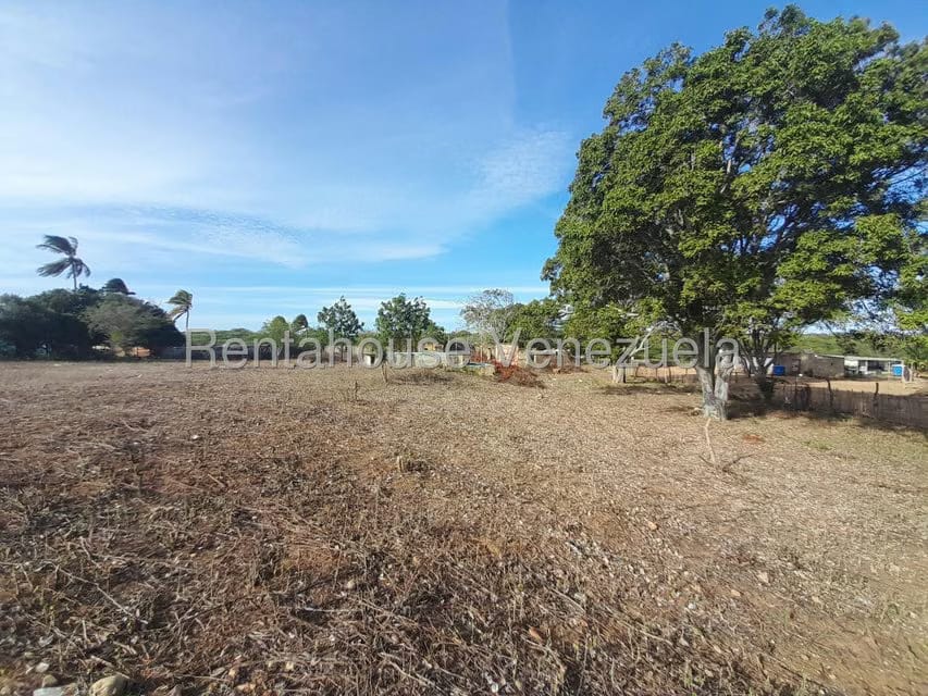 Terreno (Comercial) en Venta en Centro, Falcon - 8