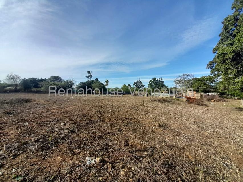 Terreno (Comercial) en Venta en Centro, Falcon - 9