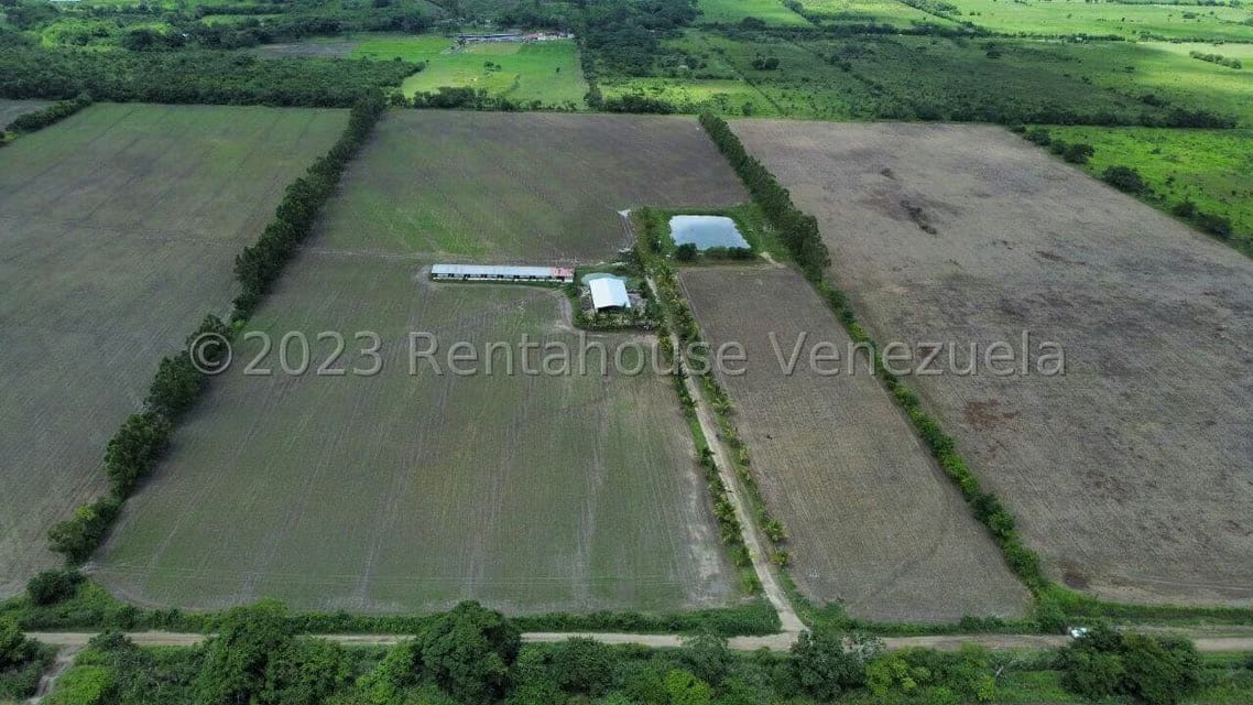 Terreno (Finca) en Venta en Municipio Peña, Yaracuy