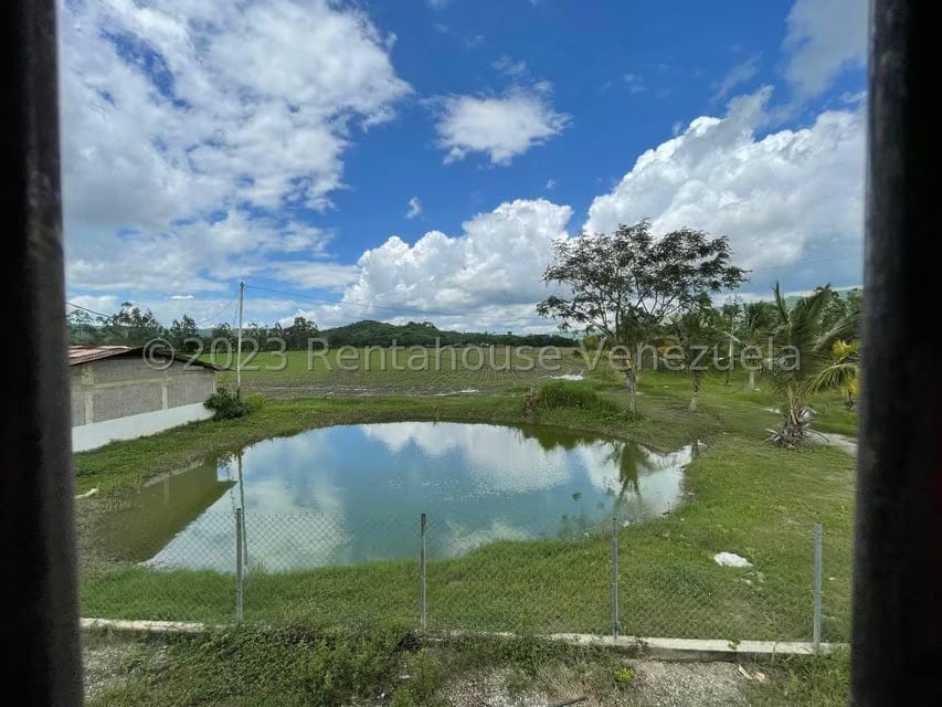 Terreno (Finca) en Venta en Municipio Peña, Yaracuy - 2