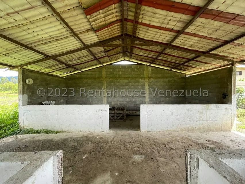 Terreno (Finca) en Venta en Municipio Peña, Yaracuy - 17