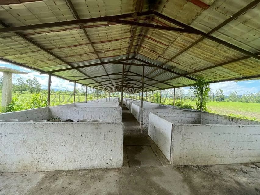 Terreno (Finca) en Venta en Municipio Peña, Yaracuy - 18