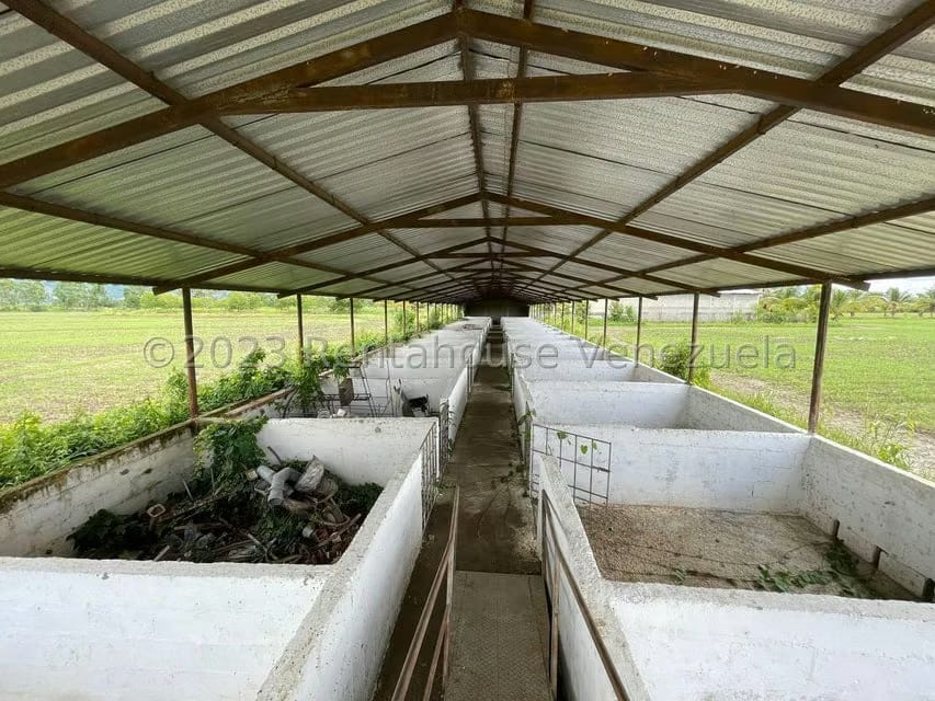 Terreno (Finca) en Venta en Municipio Peña, Yaracuy - 19