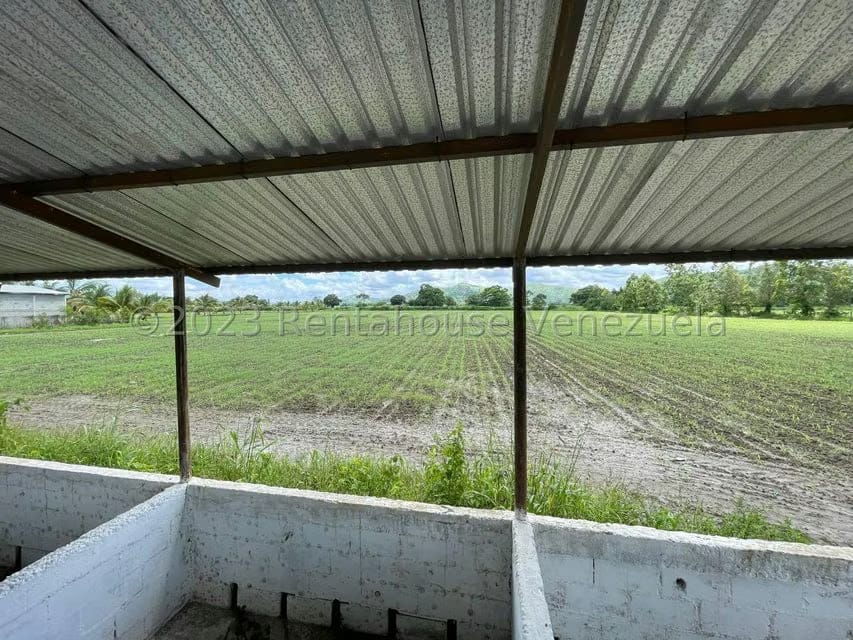 Terreno (Finca) en Venta en Municipio Peña, Yaracuy - 20